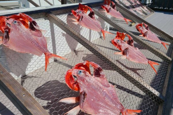 サスエの朝捕れ干物のびっくりセット（3〜5人用） - 画像 (3)